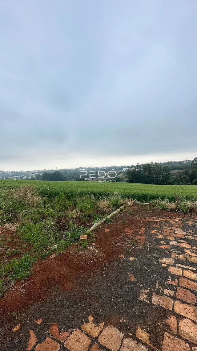 Terreno, foto 3