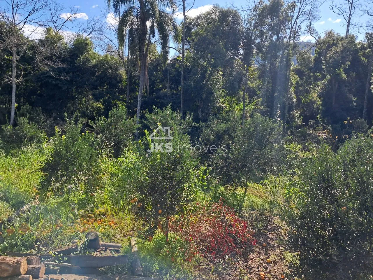 Área rural com 4 dormitórios, foto 1