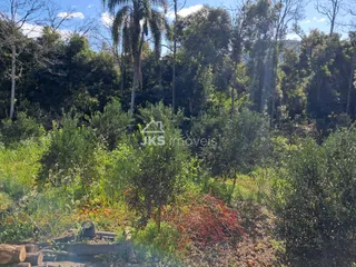 Área rural com 4 dormitórios, foto 1