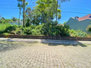 Vista externa de uma área pavimentada com vegetação densa ao fundo.