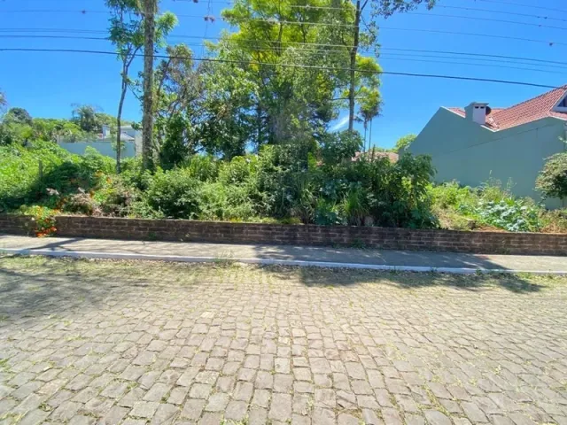 Vista externa de uma área pavimentada com vegetação densa ao fundo.