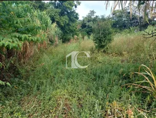 Terreno, foto 3