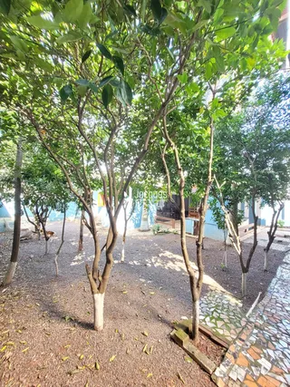 Casa com 4 dormitórios, foto 21