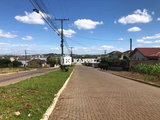 Vista de uma rua pavimentada com postes e vegetação ao ar livre.