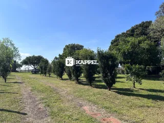 Vista externa de um terreno gramado com árvores e um caminho de terra.