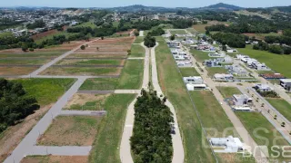 Terreno, foto 5