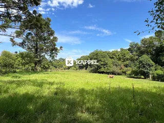 Terreno, foto 5