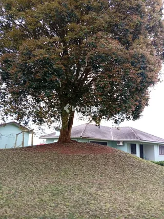 Casa com 3 dormitórios, foto 2