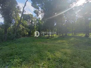 Área rural, foto 16