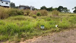 Terreno, foto 3