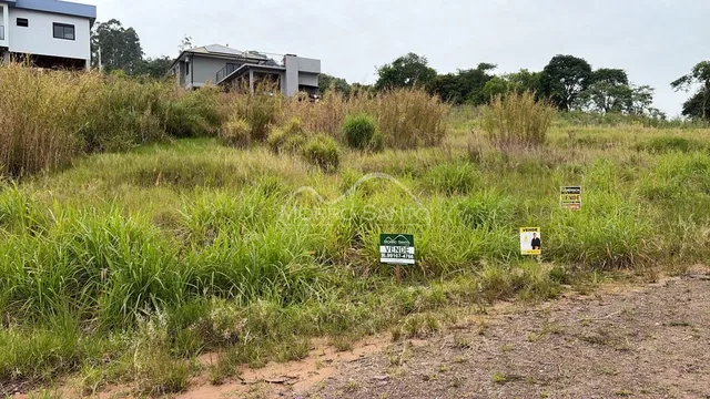 Terreno, foto 3