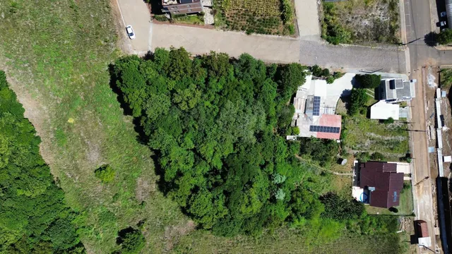 Terreno, foto 2