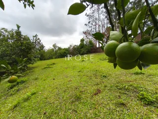 Terreno, foto 10