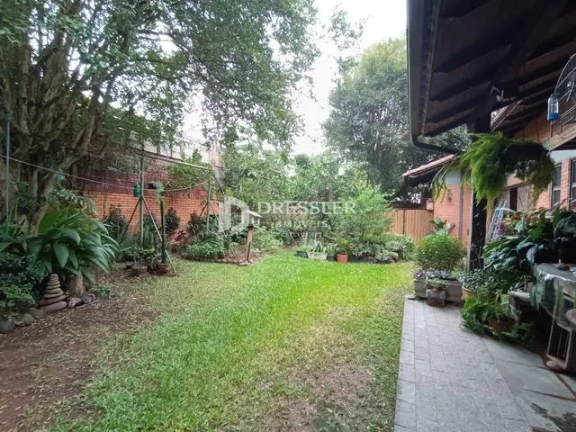 Vista externa de um quintal gramado com vegetação densa e uma área pavimentada.