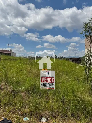 Terreno, foto 3