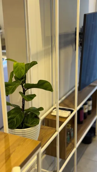 Apartamento com 2 dormitórios, foto 15