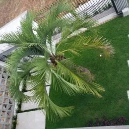 Casa com 3 dormitórios, foto 32