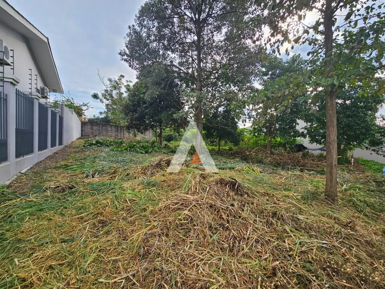 Terreno, foto 1