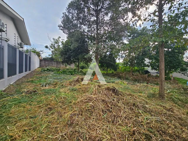 Terreno