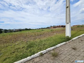 Vista de um campo gramado com uma cerca de concreto em uma propriedade em Lajeado.