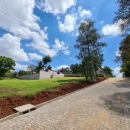 Vista externa da propriedade mostrando uma estrada pavimentada e vegetação sob um céu azul.