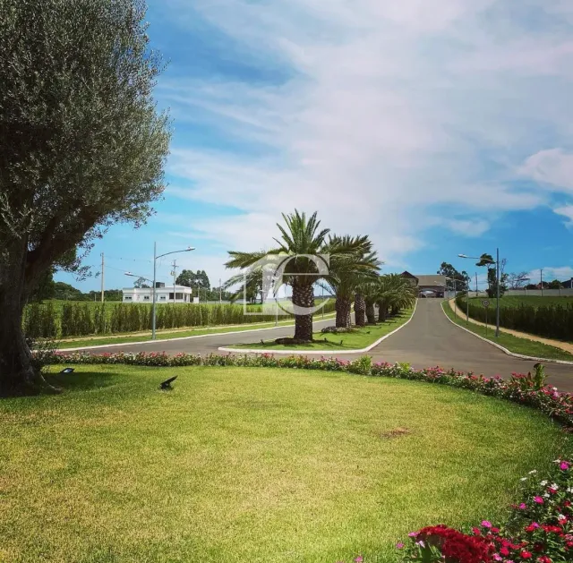 Terreno, foto 4