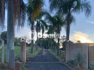 Vista externa mostrando uma estrada de terra e vegetação com palmeiras.