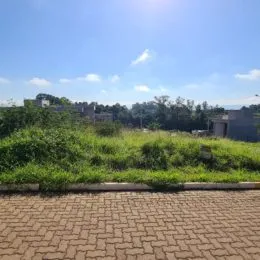 Foto externa mostrando vegetação densa e uma área pavimentada.