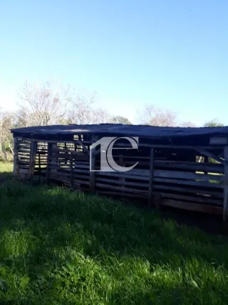Área rural, foto 21