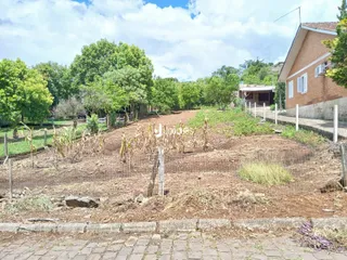 Terreno, foto 5