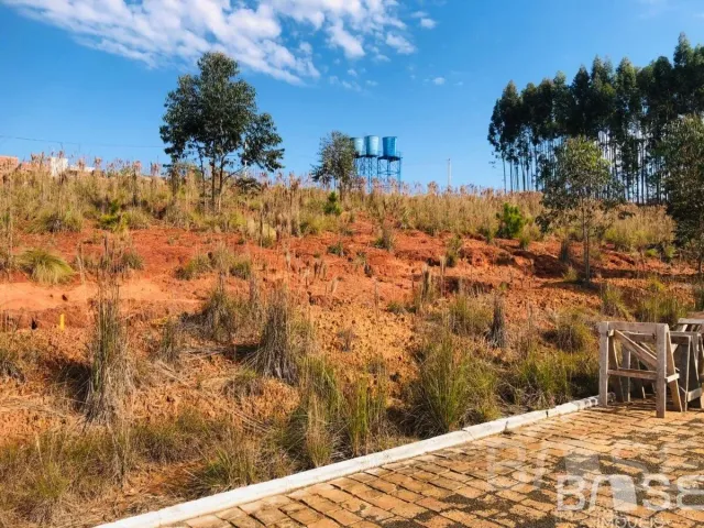 Terreno