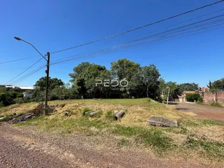 Vista da propriedade com vegetação e estrada de terra.