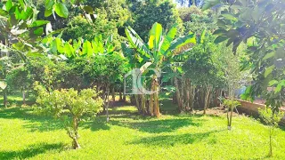 Área rural com 2 dormitórios, foto 10