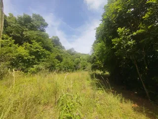 Área rural, foto 17