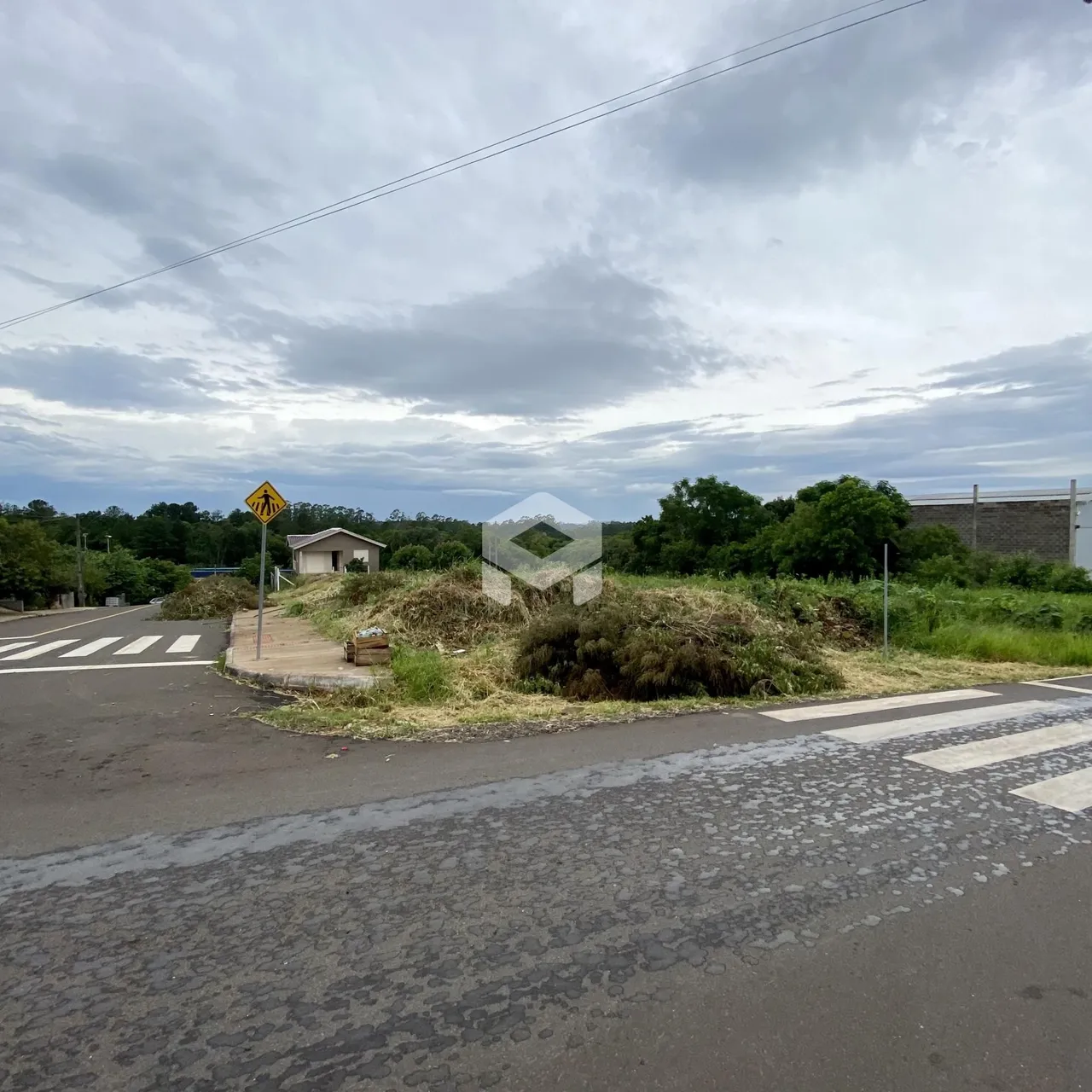 A foto mostra uma estrada com faixa de pedestres e vegetação ao fundo.