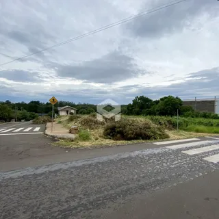 A foto mostra uma estrada com faixa de pedestres e vegetação ao fundo.