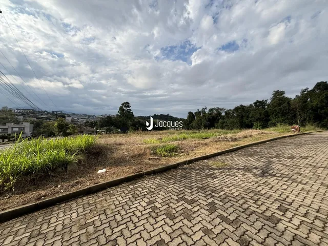 Vista da paisagem rural com vegetação ao longo de uma estrada pavimentada.