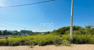 Vista da propriedade com vegetação e céu azul.