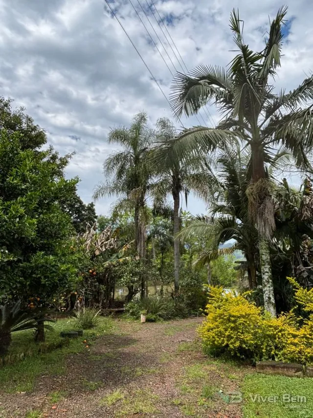 Área rural com 2 dormitórios, foto 3