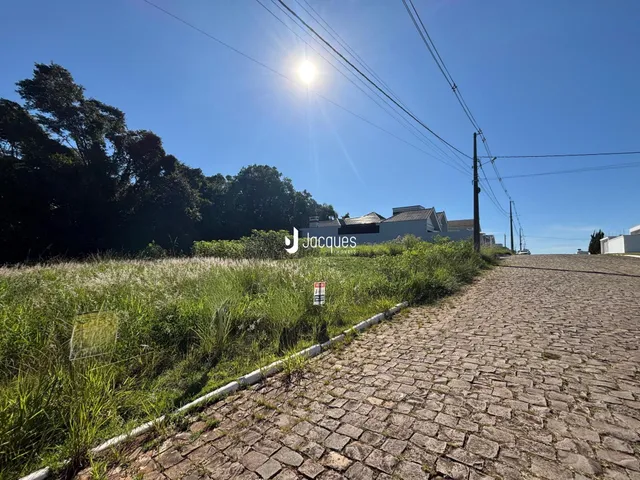 Terreno, foto 3