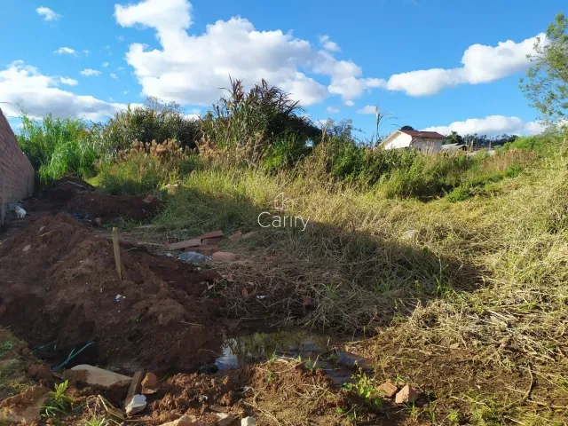Terreno