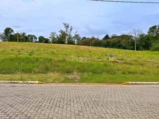 Vista de uma área gramada com vegetação ao fundo.