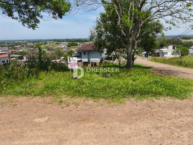 Vista da propriedade com vegetação e estrada de terra.