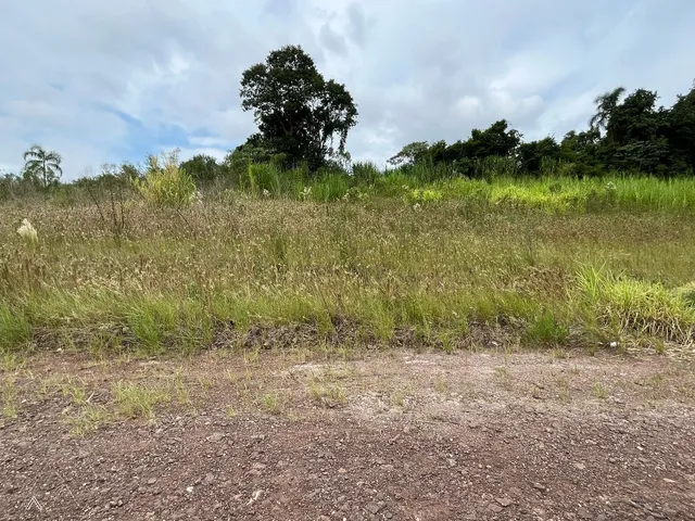 Terreno