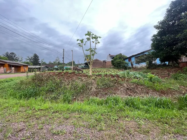 Terreno, foto 3