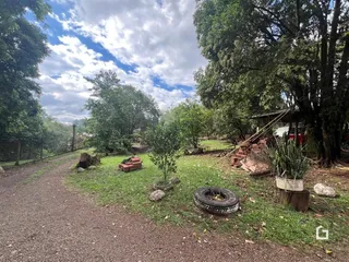 Vista externa de um terreno com vegetação e caminho de terra.