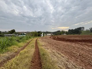 Uma estrada de terra atravessa um campo de terra arada e vegetação.