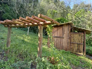 Estrutura rústica de madeira com vegetação densa ao fundo em uma área rural.