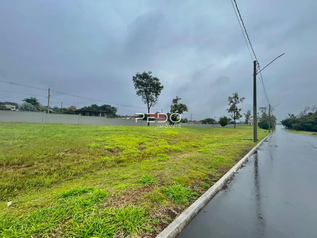 Vista externa de um terreno gramado ao lado de uma estrada.
