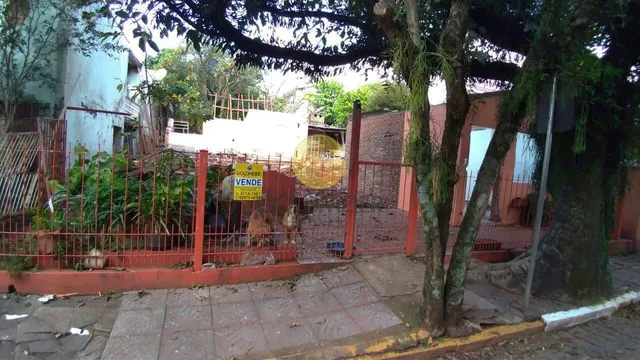 Terreno, foto 2
